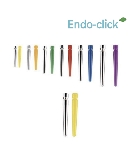 Tenons Coniques - ENDO-CLICK - Calcinables ou Inox