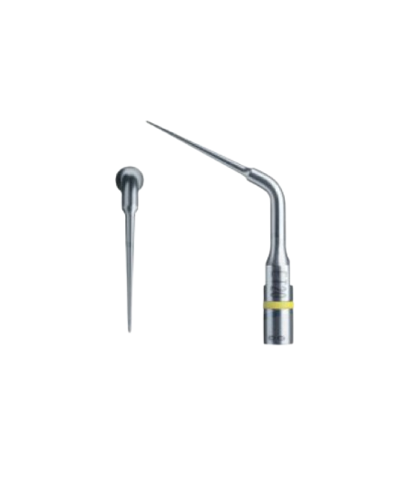 Insert endo success ET20 - ACTEON